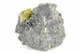 Glassy Yellow Anglesite Crystal on Galena - Morocco #251506-1